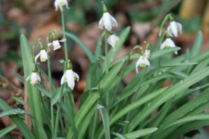 Die Winterpause ist vorbei